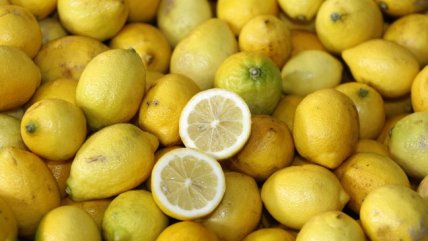   Hecho por Chile: Los concursos de ProChile para empresas exportadoras 