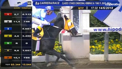   El acabado informe de un nuevo clásico 