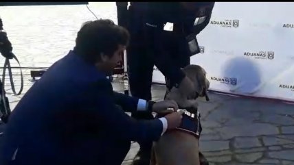   Subsecretario de Hacienda condecoró a dos canes del Servicio Nacional de Aduanas en Iquique 