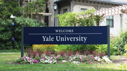   Millonarios, famosos y coimeros: Así operaba el fraude de las universidades de EEUU 