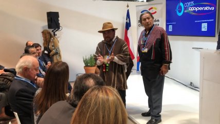 COP25: Voces indígenas emplazaron al Estado chileno en Madrid  