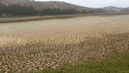   El implacable avance de la sequía hace agonizar a Laguna Torca 