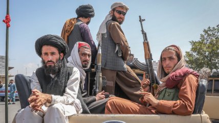  Analista internacional: 