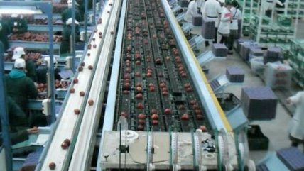  Siguen las promociones: Empresa sorteará giftcards para atraer temporeros  