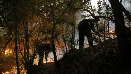   ¿En qué consisten las 