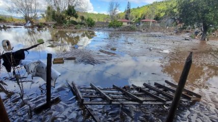  Sector maulino de Majadillas muestra los daños causados por violento sistema frontal  