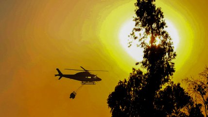   Balance de incendios en Los Lagos: 167 siniestros y 170 hectáreas afectadas 