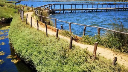   Ruta de los Abastos: Turismo gastronómico chileno destacado por la revista Time 