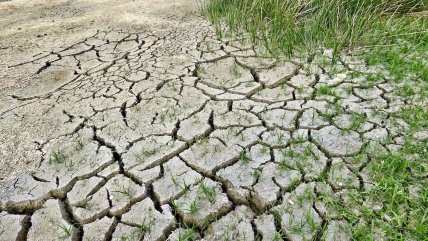 El 10% más rico del mundo ha causado dos tercios del calentamiento global desde 1990 El 10% más rico del mundo ha causado dos tercios del calentamiento global desde 1990