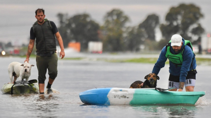   Hay cuatro desaparecidos: Temporal en provincia de Buenos Aires sube a 4.100 los evacuados 