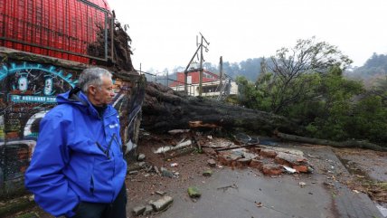   Caída de semáforos, árboles y postes marcaron el paso del sistema frontal en el Biobío 