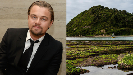  La riqueza ecológica de la Isla Guafo, que DiCaprio donará para ser parque nacional en Chile  