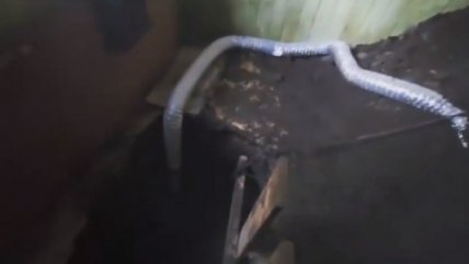   Arresto domiciliario para delincuentes que cavaron túnel a bóveda de Banco Estado en Curarrehue 