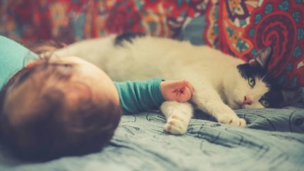   Creciendo Juntos: Los beneficios de las mascotas en niñas, niños y adolescentes 