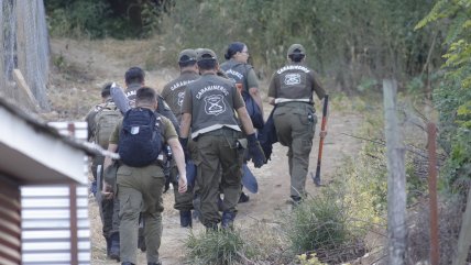   Fiscal Cubillos sobre 