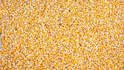  Argentina aplica nueva reducción de los derechos de exportación de granos  